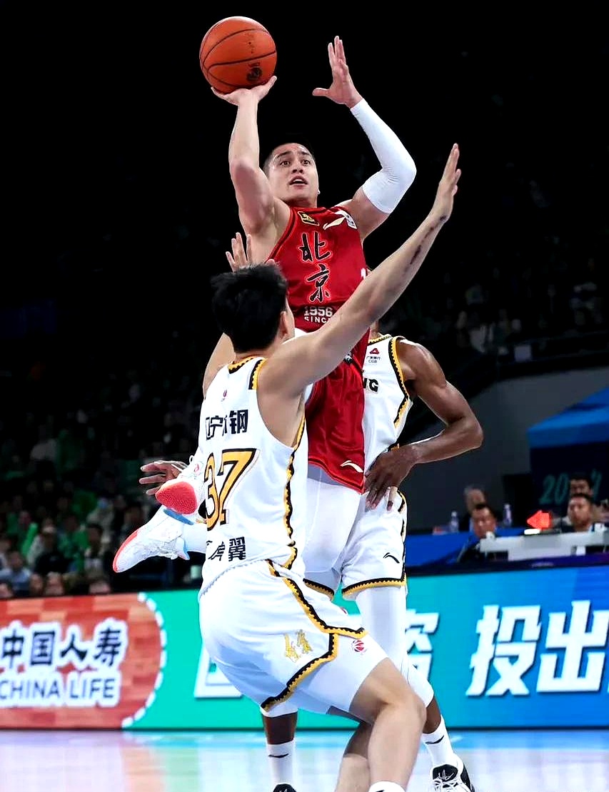 辽宁新开的赛鸽公棚-凯时尊龙